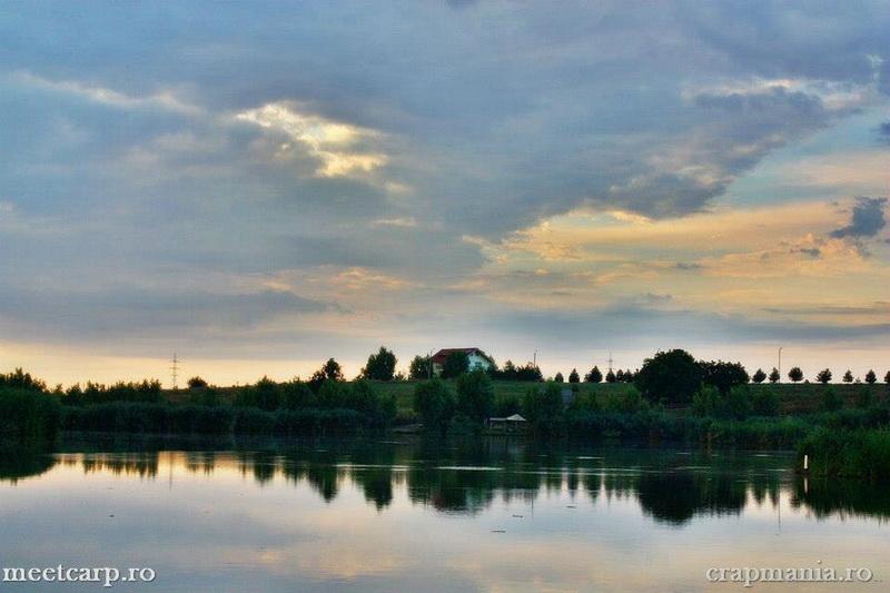 diverse - 100-tancabestijpg.jpg